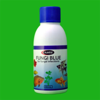 Fungi Blue - 100ml