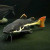 Cat Fish