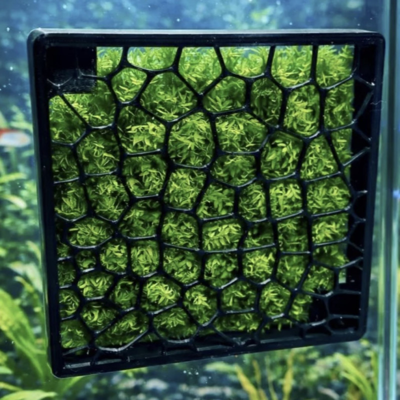 P21 – Moss Display Panel - Aquarium & Terrarium Décor