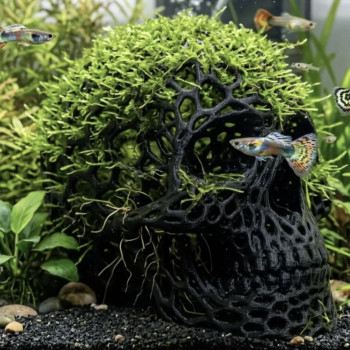 P23 – Lattice Skull - Aquarium & Terrarium Décor