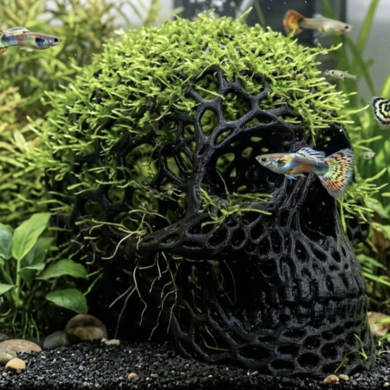 P23 – Lattice Skull - Aquarium & Terrarium Décor