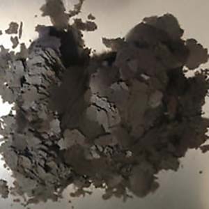 Osi Artemia Flakes 100G