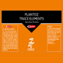 Trace Elements - 200ml