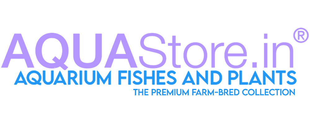 AQUAStore.in