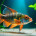 Exotic Fishes